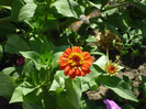 P1010148