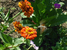 P1010149