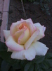 DSC01773