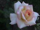 DSC01774