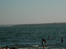 DSCN8729