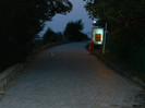 DSCN8747