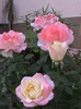 DSC01780