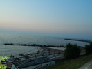 DSCN8754