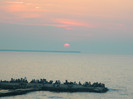 DSCN8784