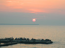 DSCN8790