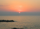 DSCN8803