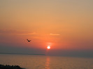 DSCN8813