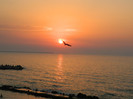 DSCN8825