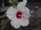 P310712_16.58_[02]