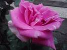 P310712_17.01_[01]