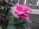 P310712_17.01_[02]