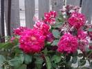 P310712_17.03_[02]