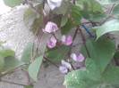 P310712_17.06_[03]