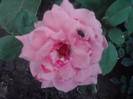 P310712_17.06_[04]