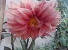 P310712_17.07_[03]