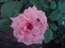 P310712_17.06_[05]