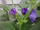P310712_17.05_[02]