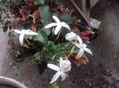 P310712_18.19_[02]
