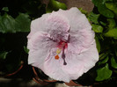 P1160446