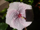 P1160447