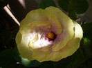 P1160454