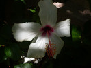 P1160455