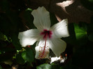 P1160456
