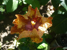 P1160458