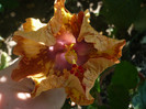 P1160459