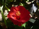 P1160462