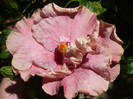 P1160464