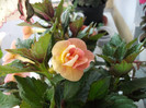 Picture 022
