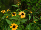 DSCN9578