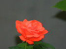 DSCN9579
