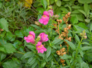 DSCN9580