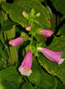 DSCN9587