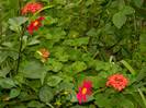 DSCN9588