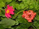 DSCN9595