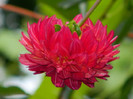 DSCN9598