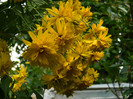 DSCN9599