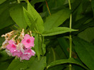 DSCN9602