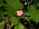 DSCN9632