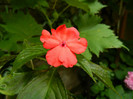 DSCN9634