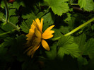 DSCN9644