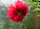 DSCN9647