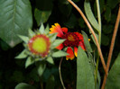 DSCN9651