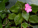 DSCN9658