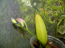 DSCN9663