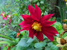 DSCN9668